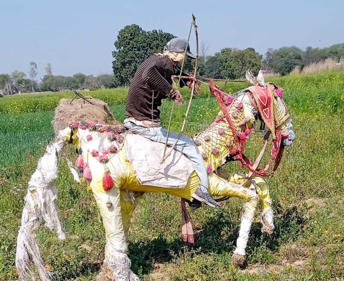 अन्ना जानवरों से फसल बचाने को खेतों में अजूबा बना रहे किसान