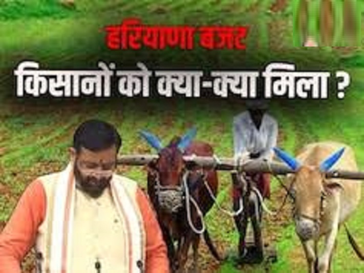 Haryana Budget 2025-26 लीची, स्ट्रॉबेरी और खजूर की खेती करेंगे हरियाणा के किसान